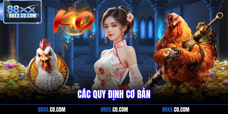 Các quy định cơ bản